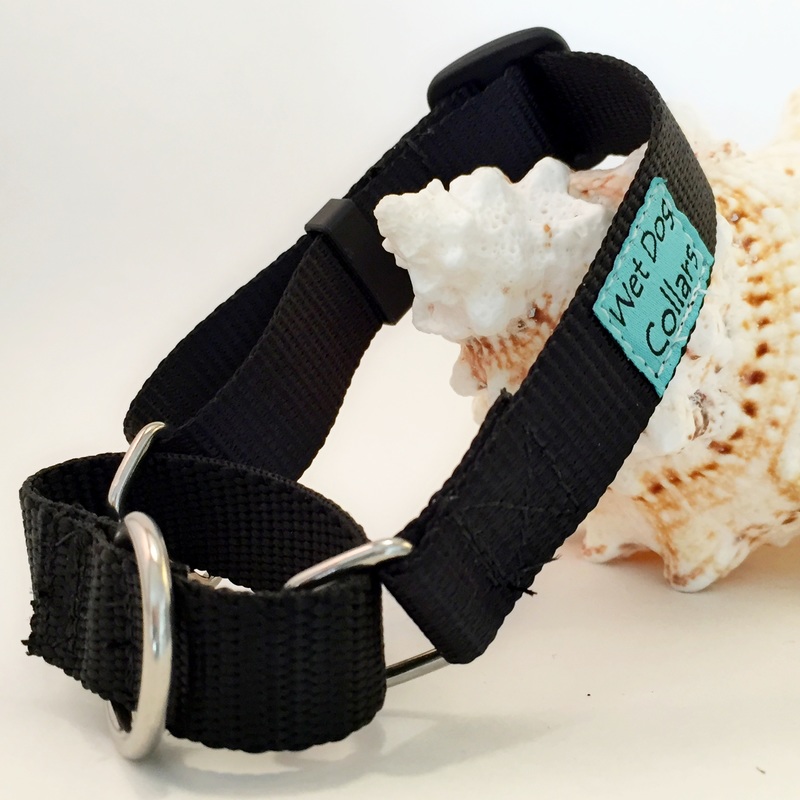 Small Martingale dog collar Picture
