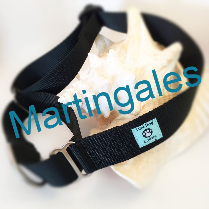 martingale dog collar Picture